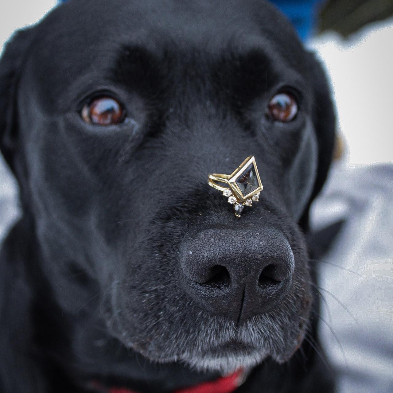 Evo -engagement photoshoot