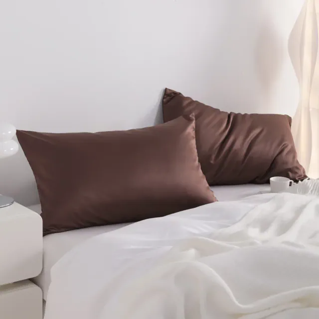 2 Pack Satin Zippered Pillowcases, Skin-Friendly Luxury Pillow Cases for Hair and Skin - NTBAY