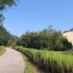 Hallock State Park Preserve