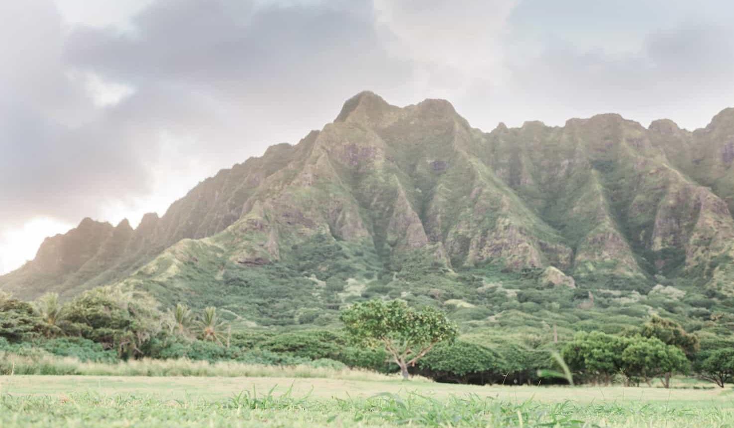 Hero Slideshow Image 1