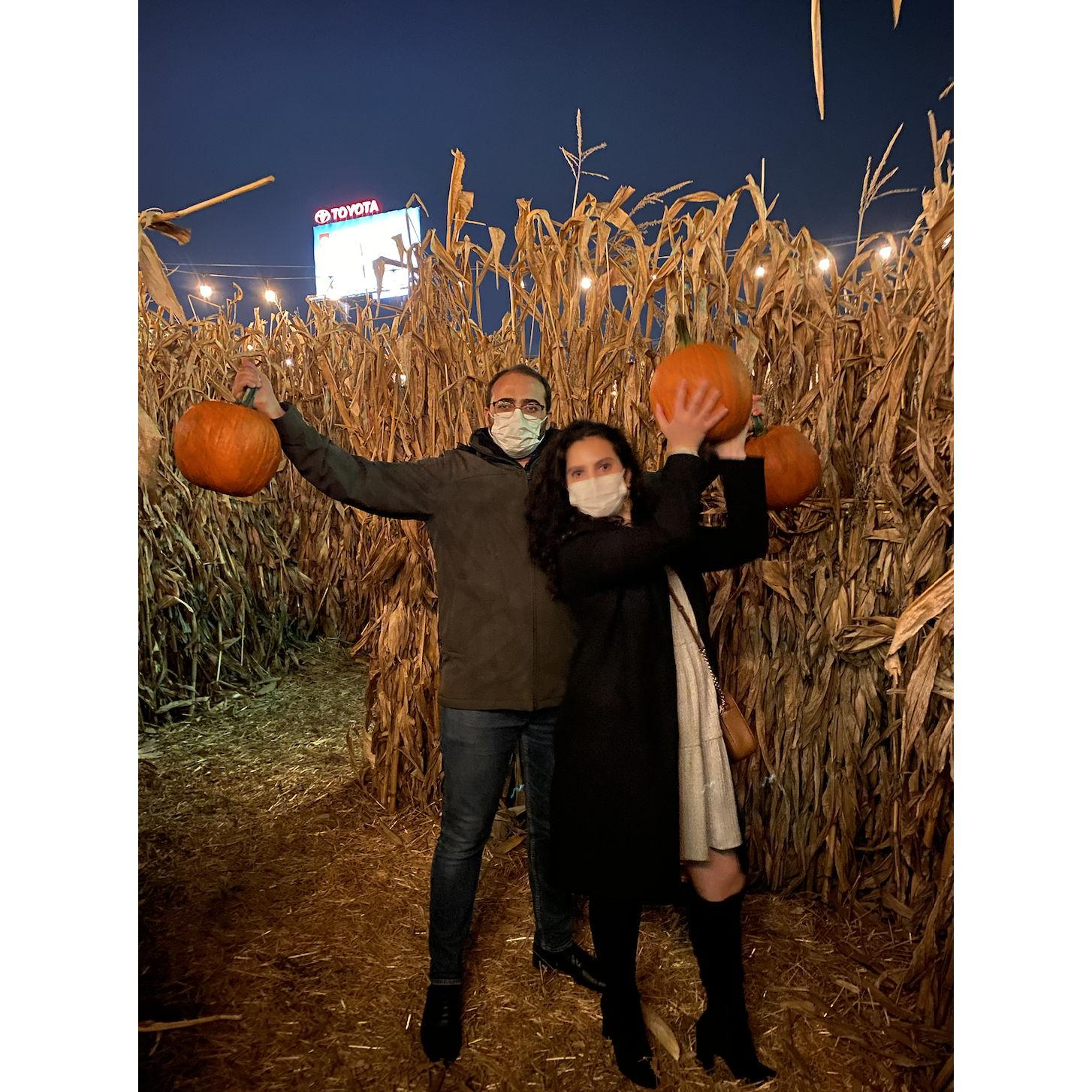 Halloween in Chicago! - 2020