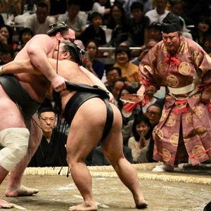 Experiencia VIP de Sumo en Tokyo