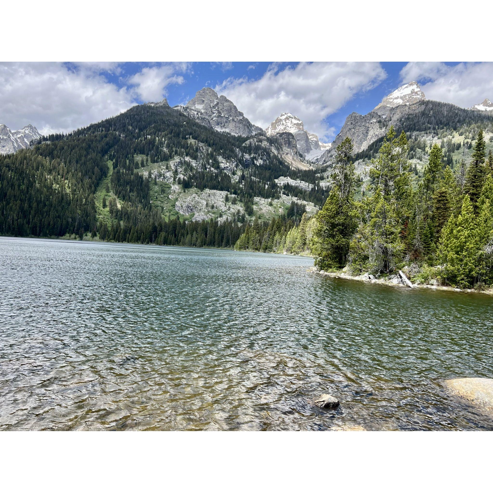 The view from Leah's proposal