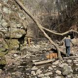 Parfrey's Glen Trailhead