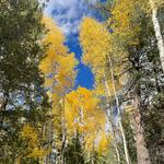 Humphreys Peak