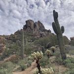 Pinnacle Peak Park
