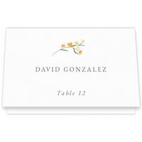 Place Card