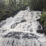 Vogel State Park