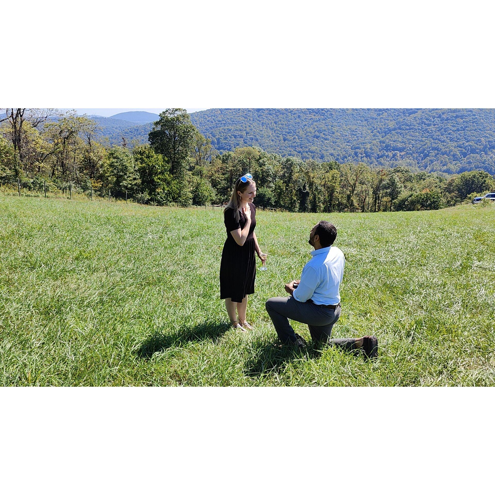 The Proposal- October 6th, 2024 at Crimson Lane Vineyards <3