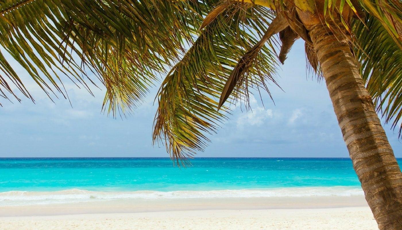 The Wedding Website of Nikki Harter and G.W. McDaniel