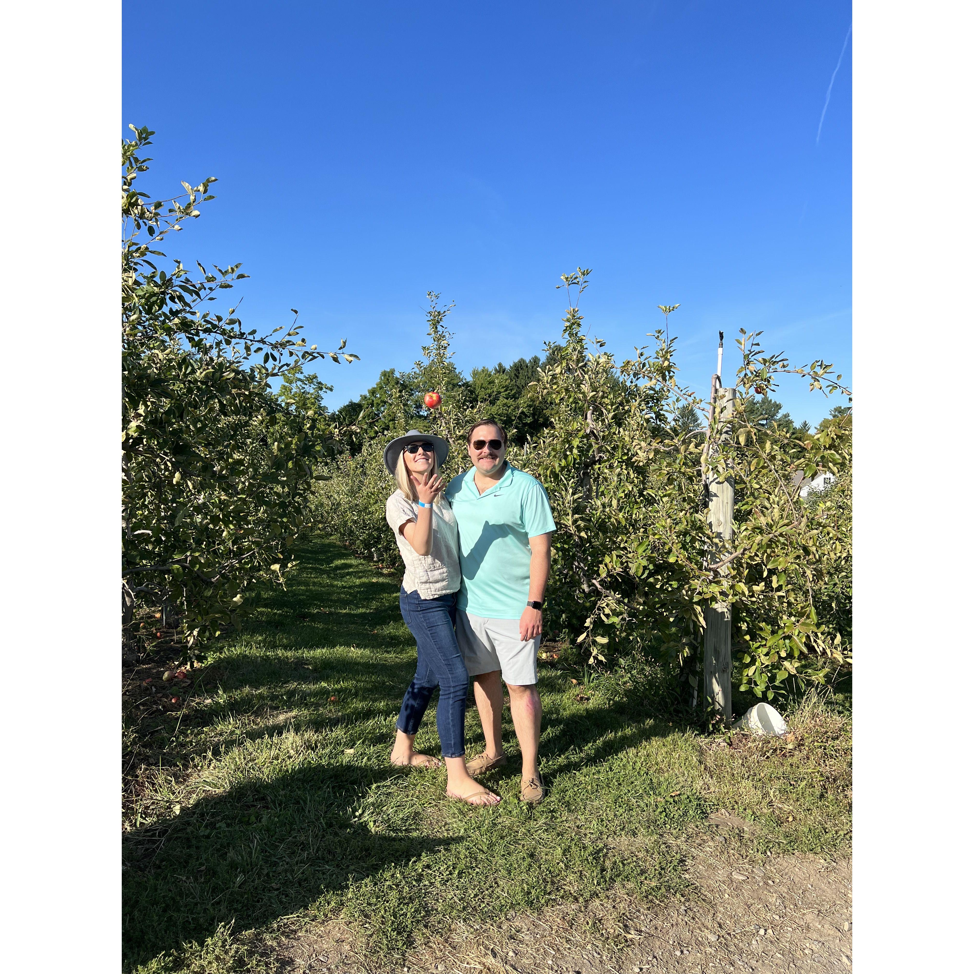 Honey Pot Hill Orchard, Stow, Massachusetts