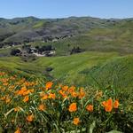 Chino Hills State Park
