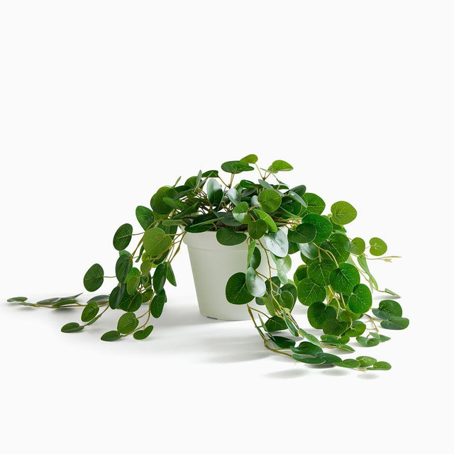 Faux Potted Trailing Leaf Plant, 25''