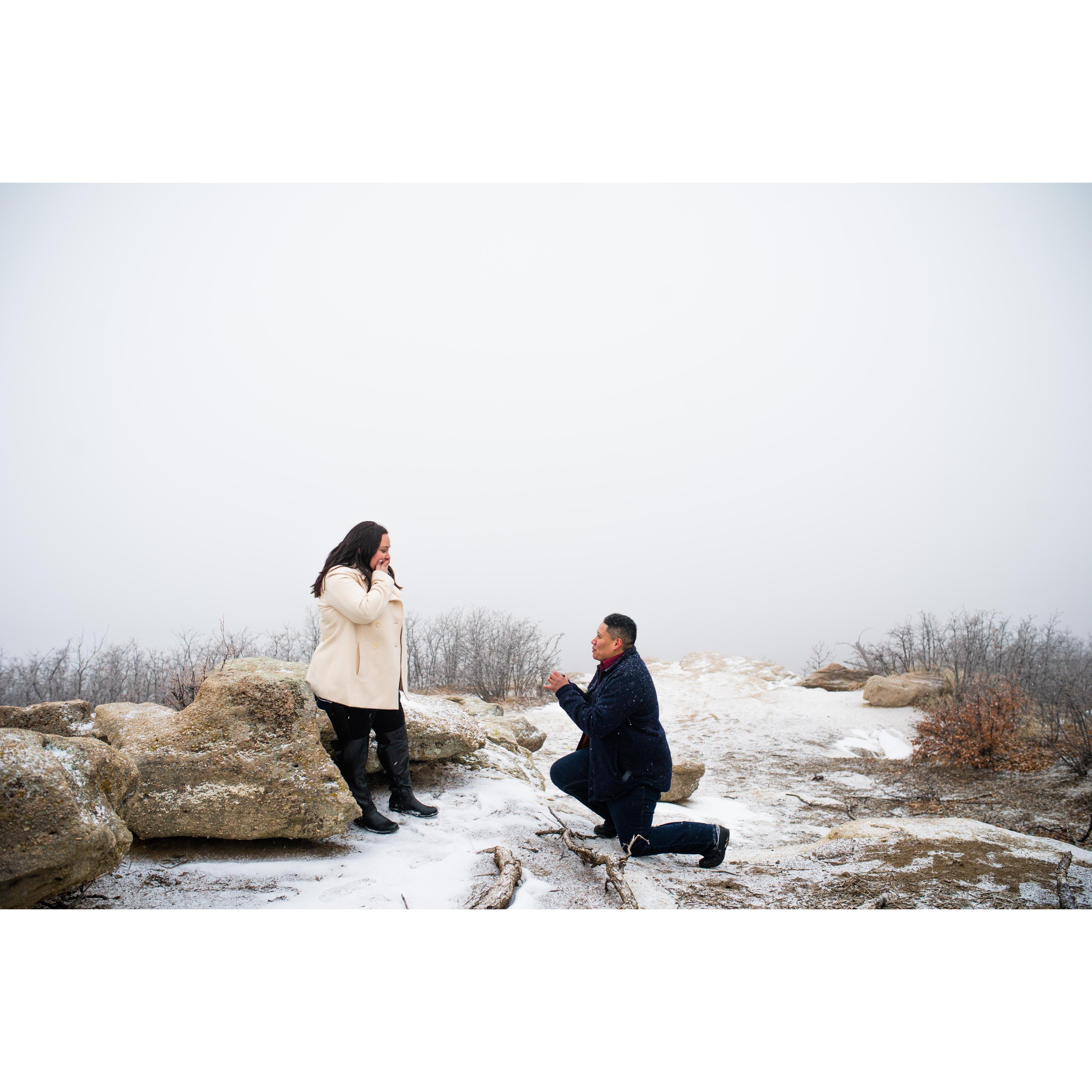 Yolie proposing to Elena. February 22nd 2019. Daniel's Park.