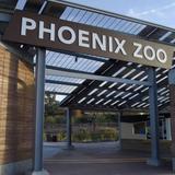Phoenix Zoo