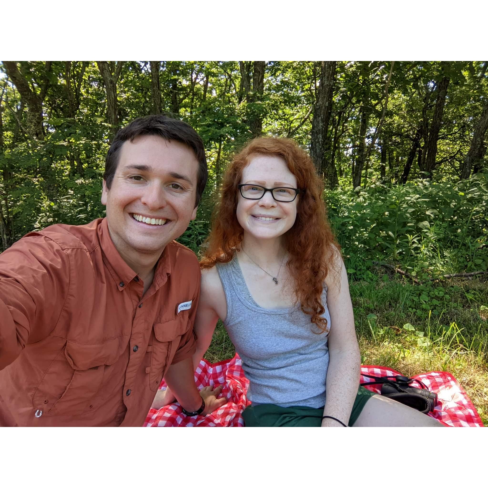 Picnic on the Blue Ridge Parkway surrounded by Indigo Buntings, Scarlet Tanagers, warblers, & more! (July 2022)