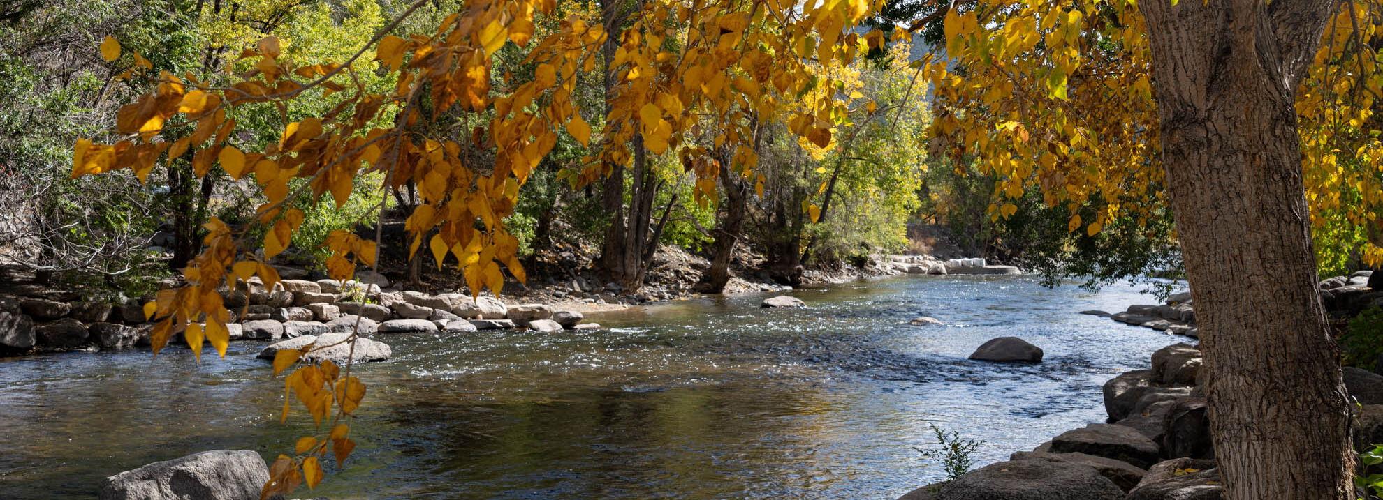 The Wedding Website of Erika Hodges and David Balogh