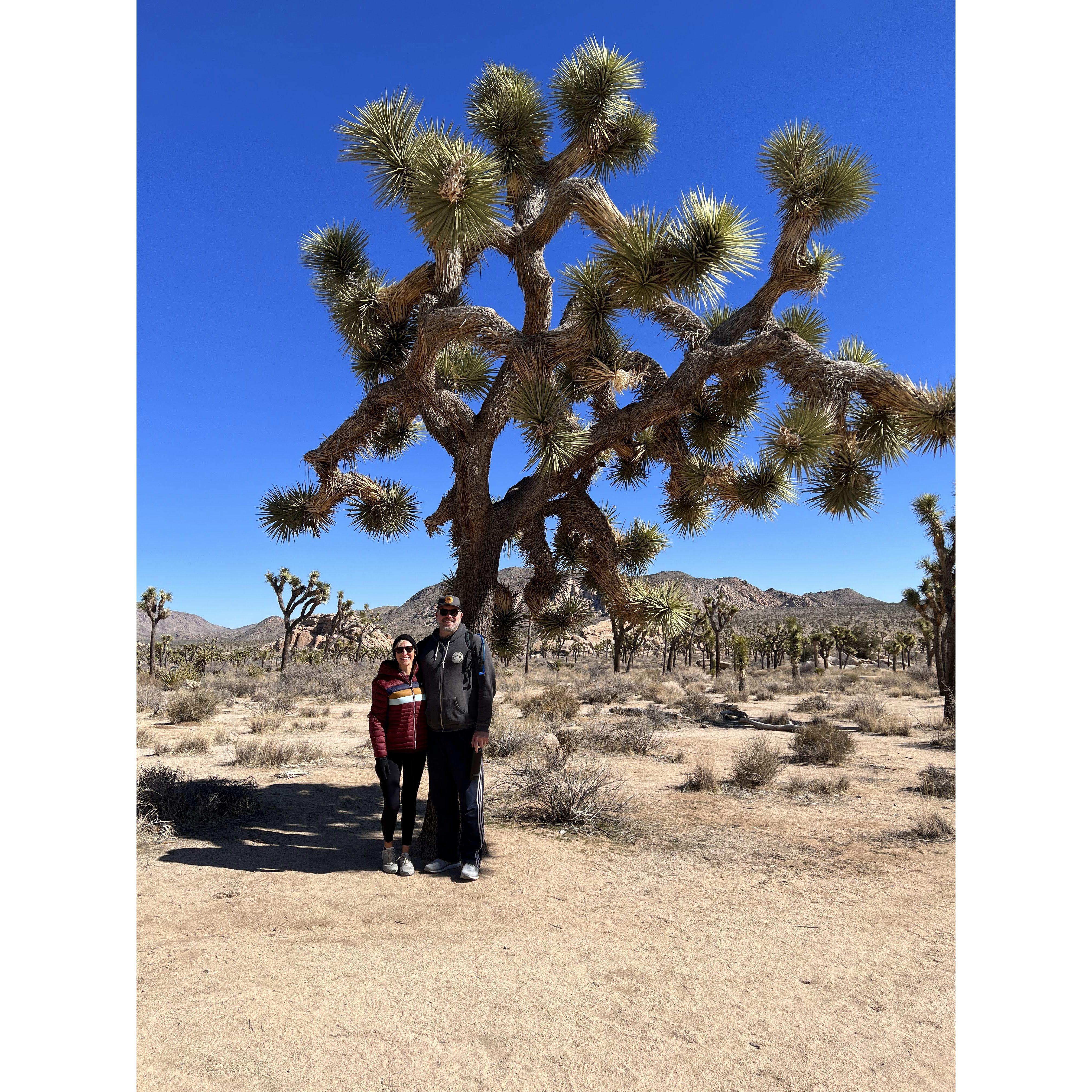 Joshua Tree - our home away from home!