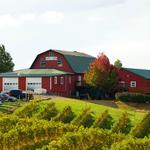 Carter Mountain Orchard and Country Store