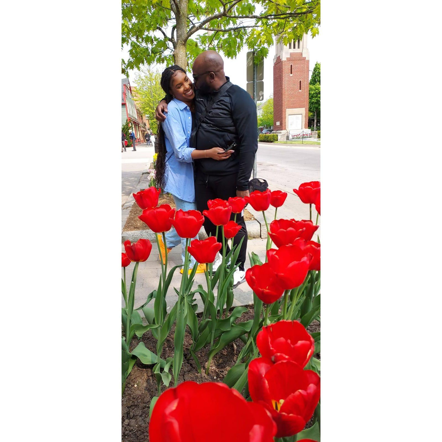 Tulips in Toronto