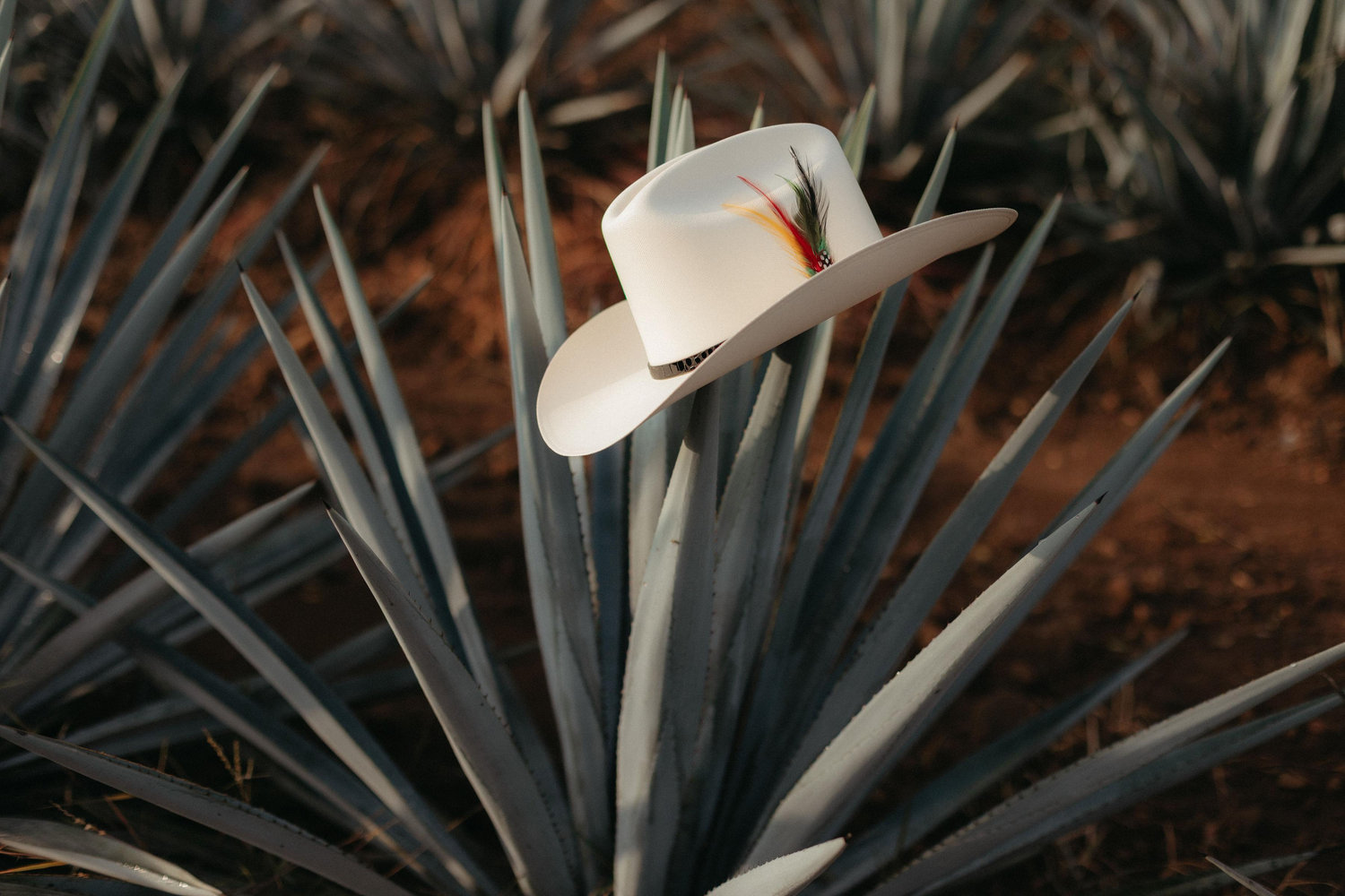 The Wedding Website of Daniel Quinones and Melissa Vela