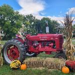 Bronkberry Farms & Greenhouse