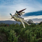 HALL Wines St. Helena