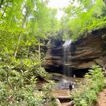 Pisgah National Forest