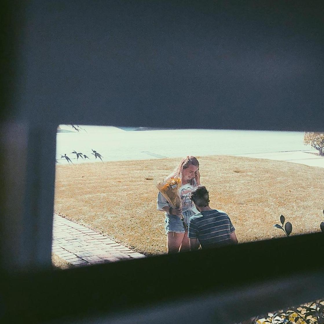the proposal