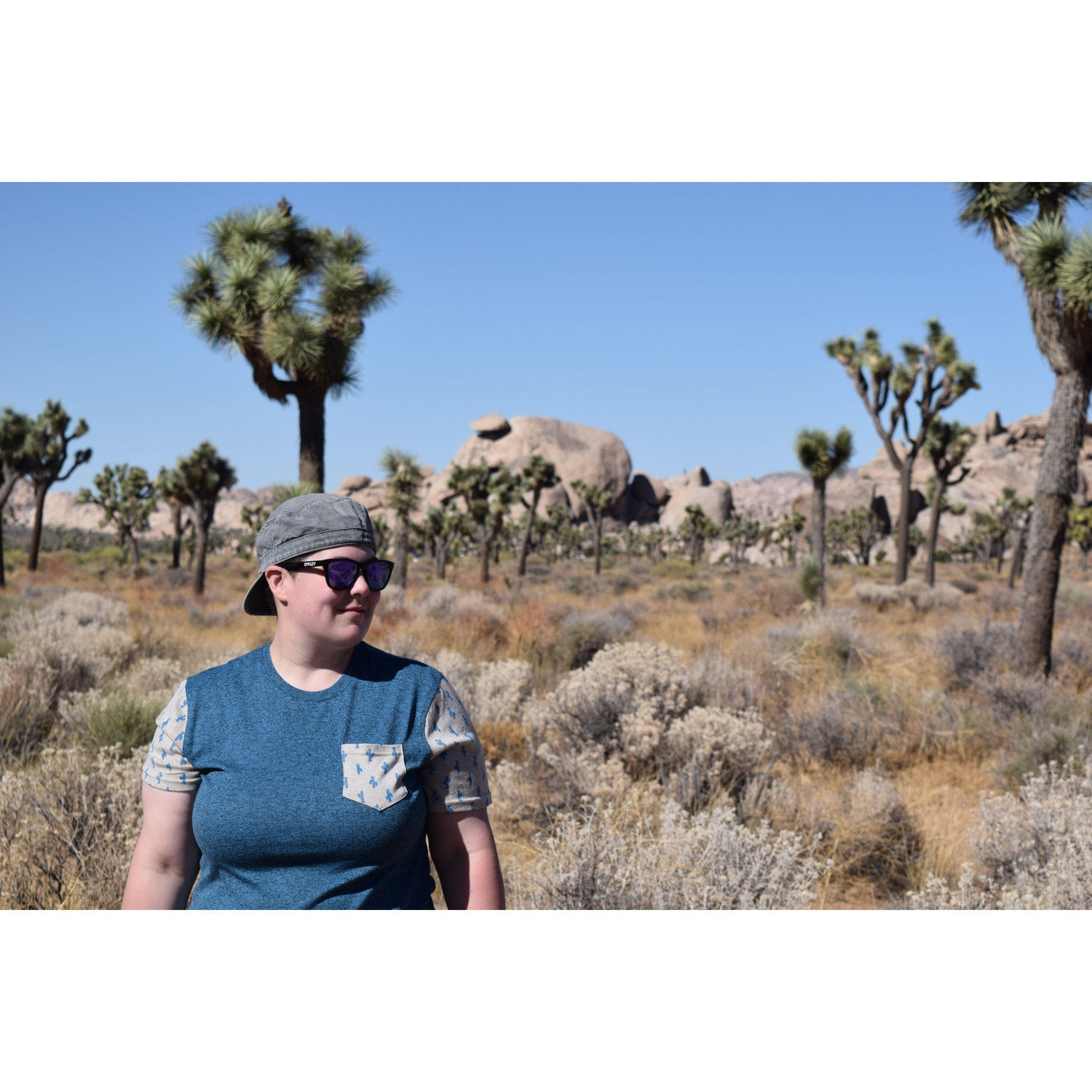 First Cross Country Road Trip: Joshua Tree 2017