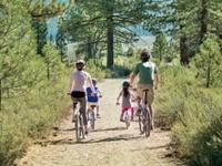 Bicycle Rentals