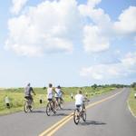 Martha's Vineyard Bike Rentals