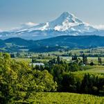Willamette Valley
