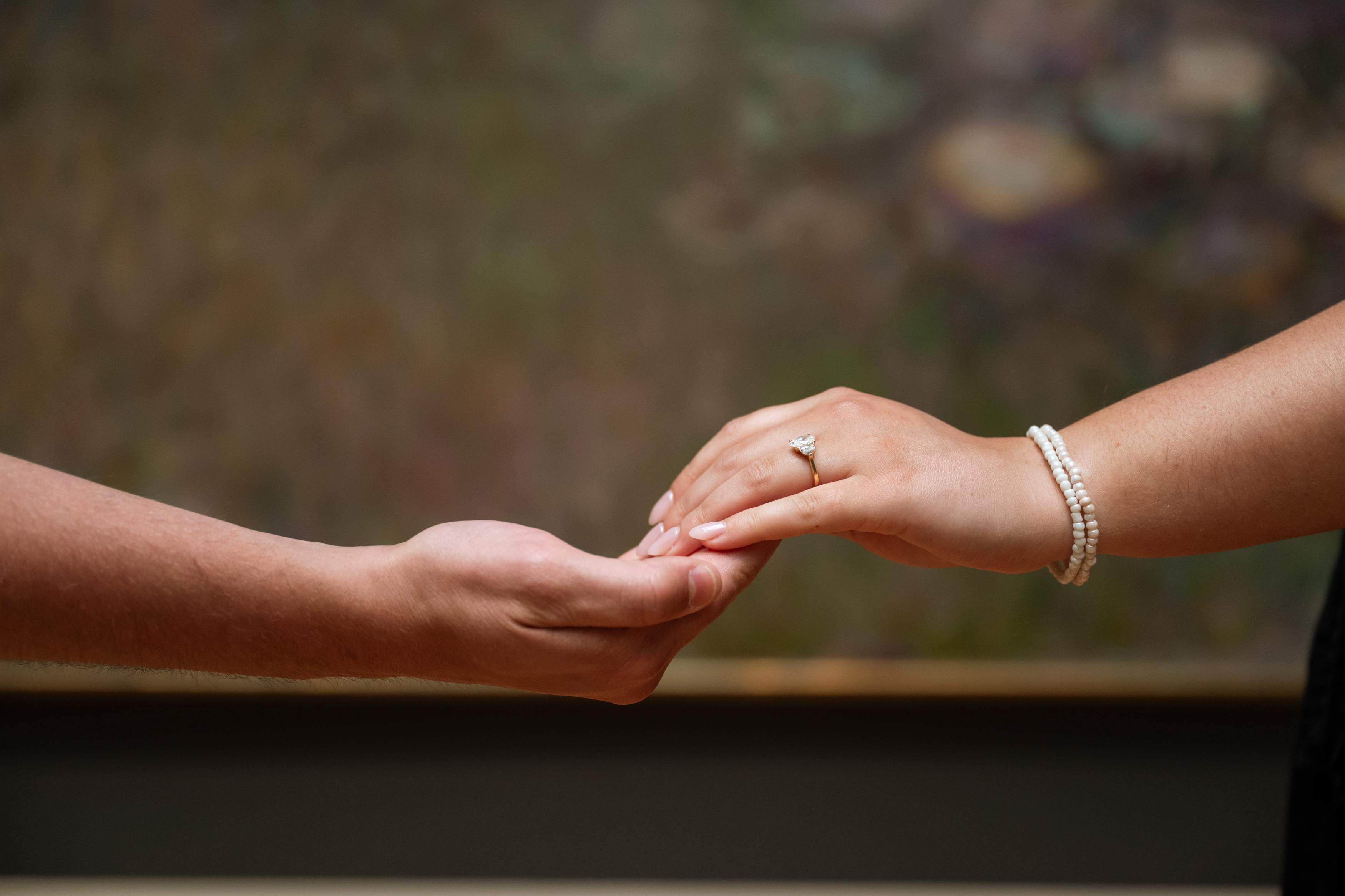 The Wedding Website of Ally Speicher and Jordan Letterly