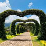 Iluminada Garden Resorts