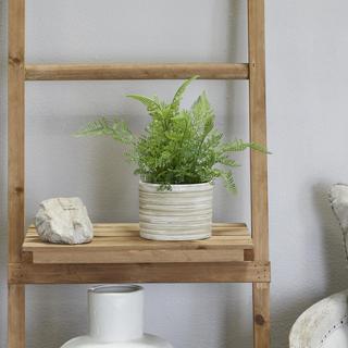 Artificial Fern Plant & Patterned Pot Set