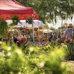 Winter Garden Farmers Market