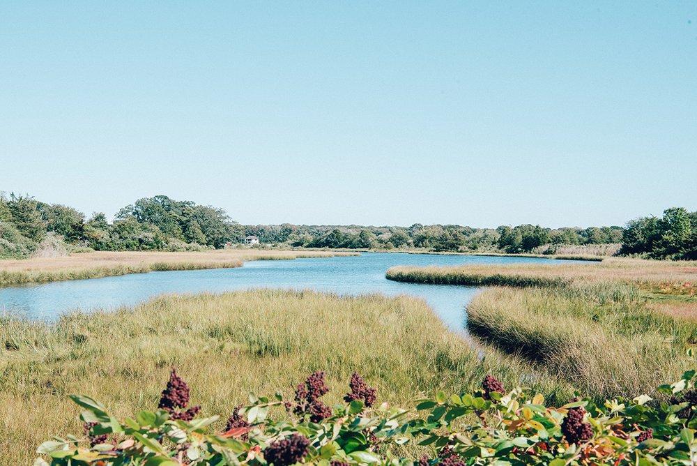 The Wedding Website of Elena Poppas and Dylan Humphrey