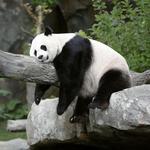 San Diego Zoo