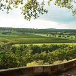 Driftwood Estate Winery