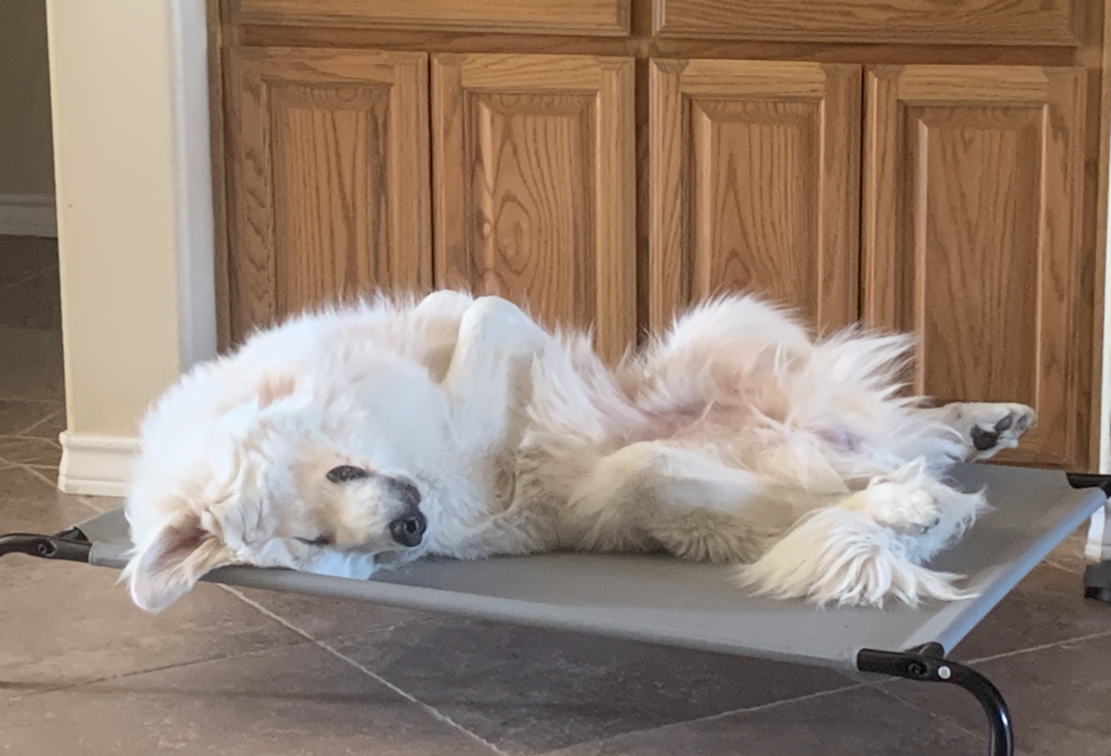 The Wedding Website of Brittany Froehlich and Keith Froehlich