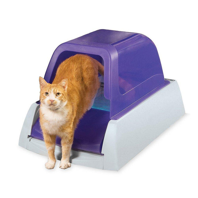 PetSafe ScoopFree Ultra Self-Cleaning Cat Litter Box, Covered, Automatic with Disposable Tray, Purple