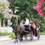 Cape May Horse & Carriage Company