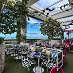 Sparrow Fort Lauderdale
