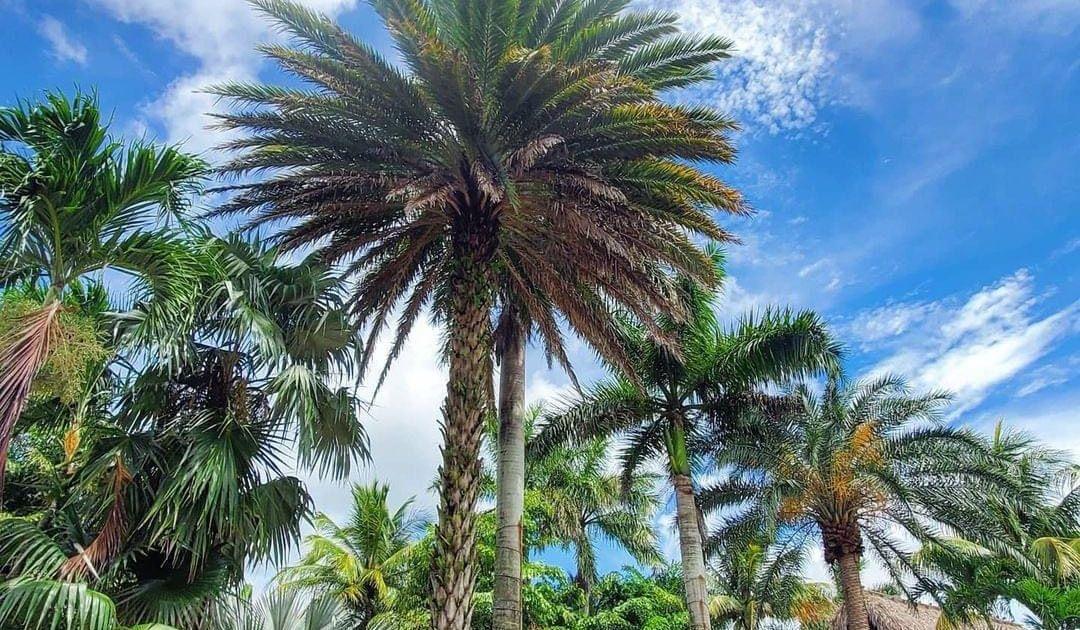 Hero Slideshow Image 2