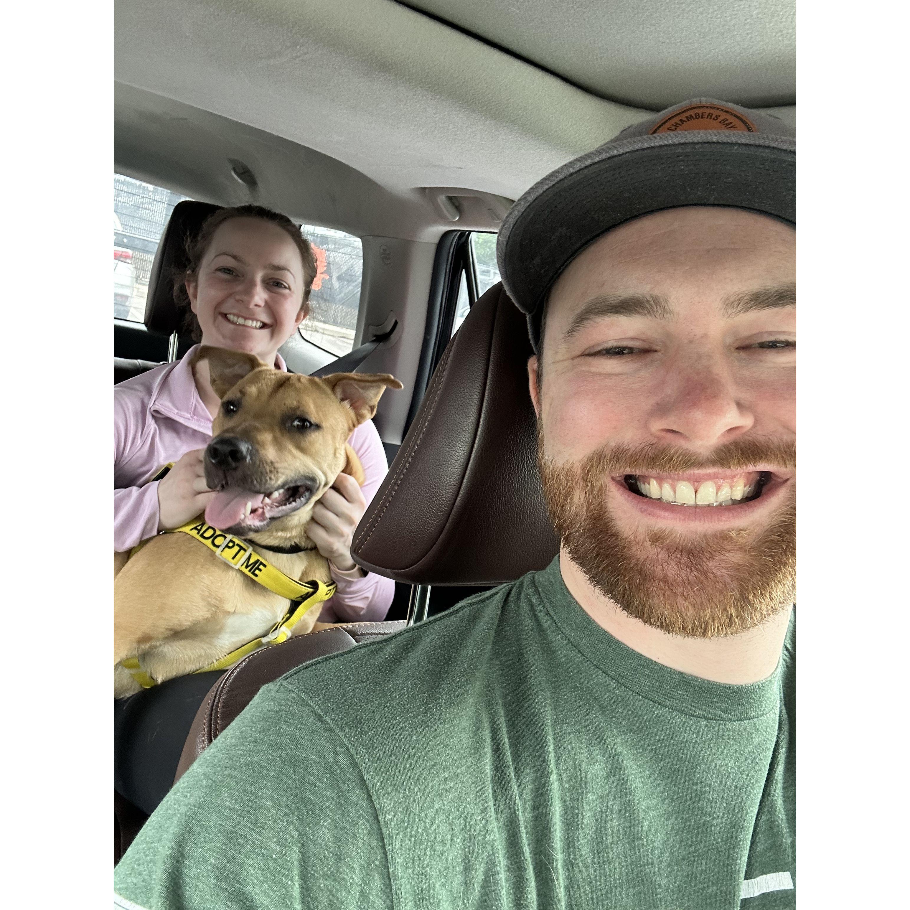 Taking a dog (Freddie)  from the local ASPCA out for a walk (April 2025)