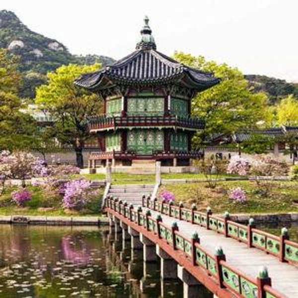 Honeymoon in South Korea