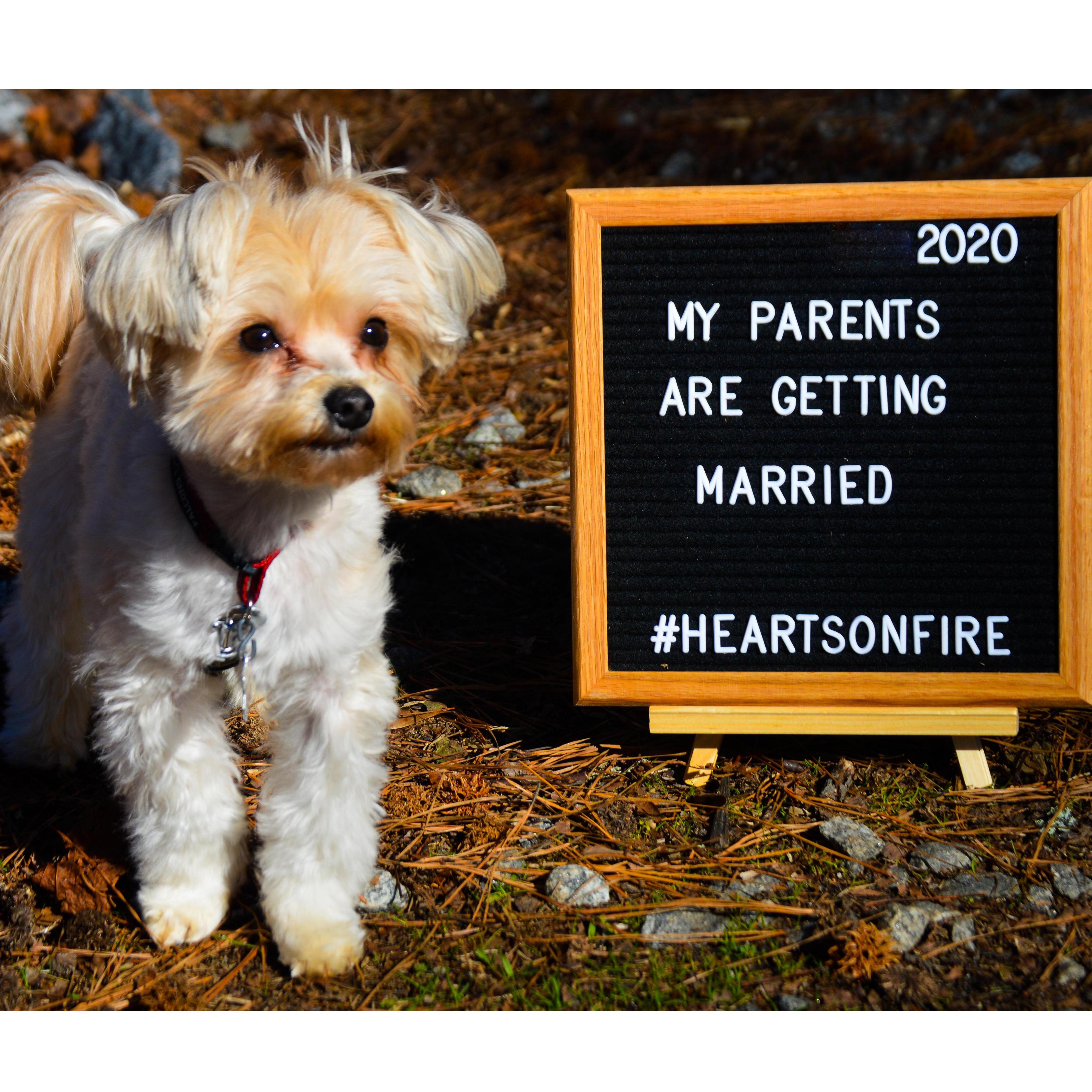 Our sweet baby boy can't wait for Mommy and Daddy to be married!