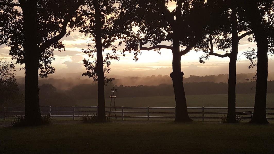 The Wedding Website of Hannah Bauer and Colin Atkinson