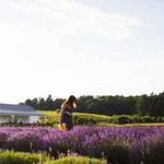 Secret Garden at Brys Estate